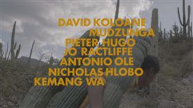 South African Artists in Mexico Dousing Weighty Concepts in Colour, Film, Sound and Paint