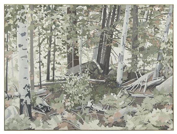 Mount Humphrey by Jerry Gunning, 1984