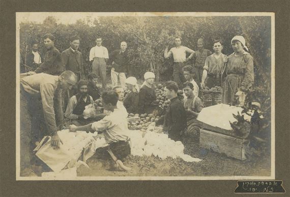 Collection of Photographs