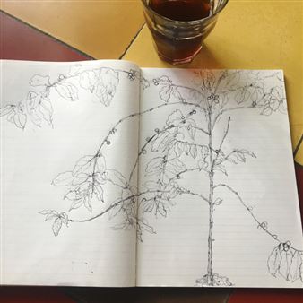 Travelers - Maho Kubota Gallery