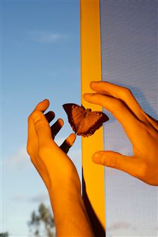 Can a Photography Festival Thrive in Today’s China?