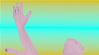 Carnations - Casino Luxembourg, Forum d'Art Contemporain 