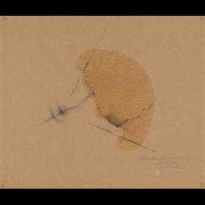 Artwork by Saburo Muraoka, Burnt Spermatozoon 1992 Heat Language, Made of Pencil, charcoal and oil on paper