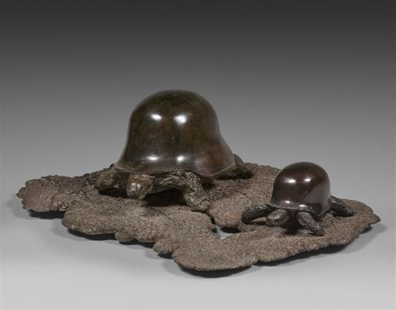 Tortue casque américain by Rachid Khimoune