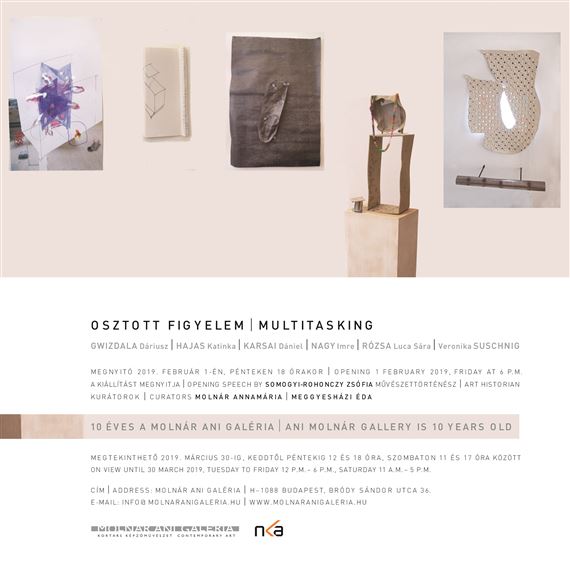 Multitasking - Ani Molnár Gallery  