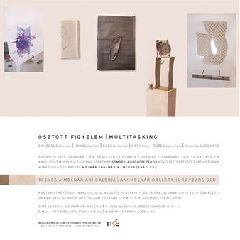 Multitasking - Ani Molnár Gallery  