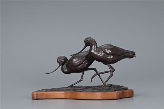 Avocets by Walter Matia