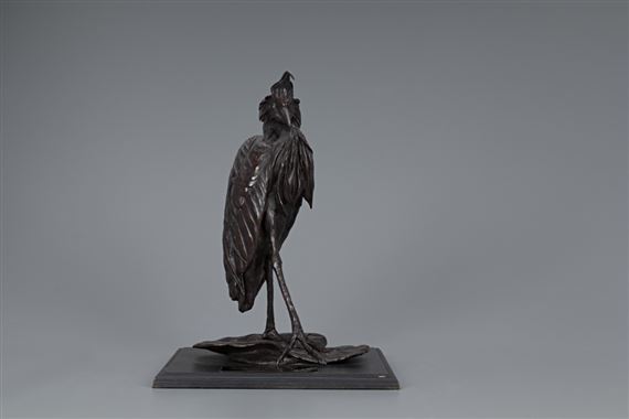 Reddish Egret In Display