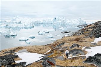 Belonging. Fotografier fra Tangen-samlingen - SKMU Sørlandets Kunstmuseum