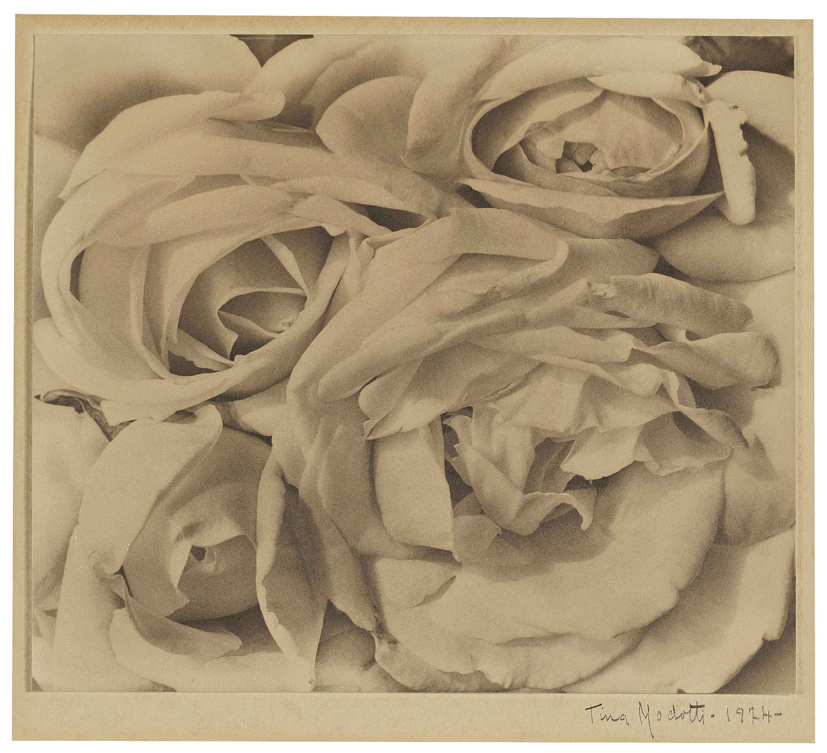 Prints Tina Modotti
