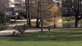 Flowers of Our Land - The Israeli Center of Digital Art