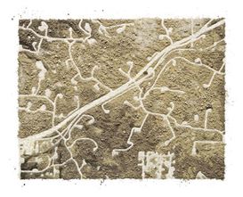 It’s All About Dust at David Campany’s Unique Photography Show at Polygon Gallery
