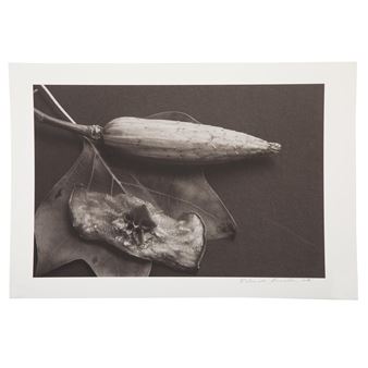 Corn Flower Stick - Donald Bernard