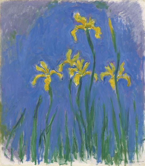 Iris by Claude Monet, Painted in Giverny in 1924-1925