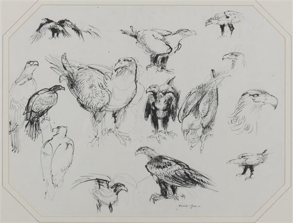 Eagle Study by Donald H. Green, 1976