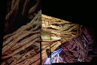 Chennai Photo Biennale 2019: The Second Edition of India's Largest Photography Event Kicks Off