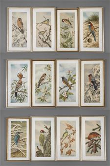 12 Works: Serie mit Vogeldarstellungen - Friedrich Reimann