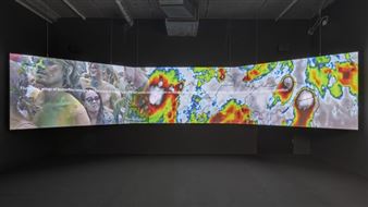 Honolulu Biennial 2019: To Make Wrong / Right / Now - University of Hawaii, John Young Museum of Art