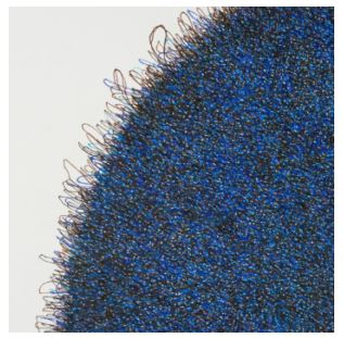 Spencer Dormitzer: PONDER… er ING or, I Am The Asteroid - IA&A at Hillyer