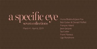 A Specific Eye: Seven Collections - Demisch Danant
