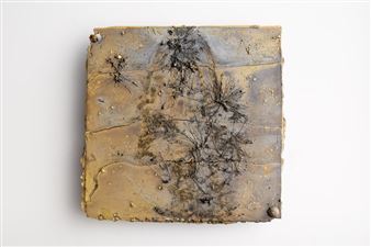 Shinji Turner-Yamamoto: Microcosm and Macrocosm - Sapar Contemporary