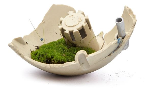 Nature \ nature - Kunstraum Niederoesterreich 