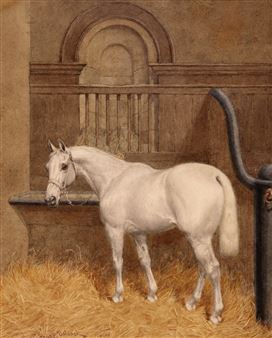 The horse Phoenix, in a stable - Charles Edwin M. Baldock