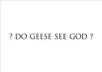 Kris Martin: ?Do Geese See God? - Sean Kelly, New York