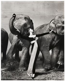 Dovima with Elephants, Evening Dress by Dior, Cirque d'Hiver, Paris - Richard Avedon
