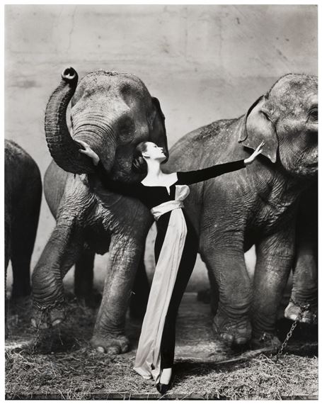 sachin and babi light blue dress Avedon / Paris, Geneva, September 29–December 17, 2011 main image 0