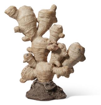 ‘Tea Drinking Is a Way to Indulge Our Senses — Just like Art’