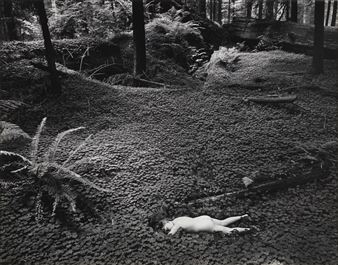 Child in the Forest - Wynn Bullock