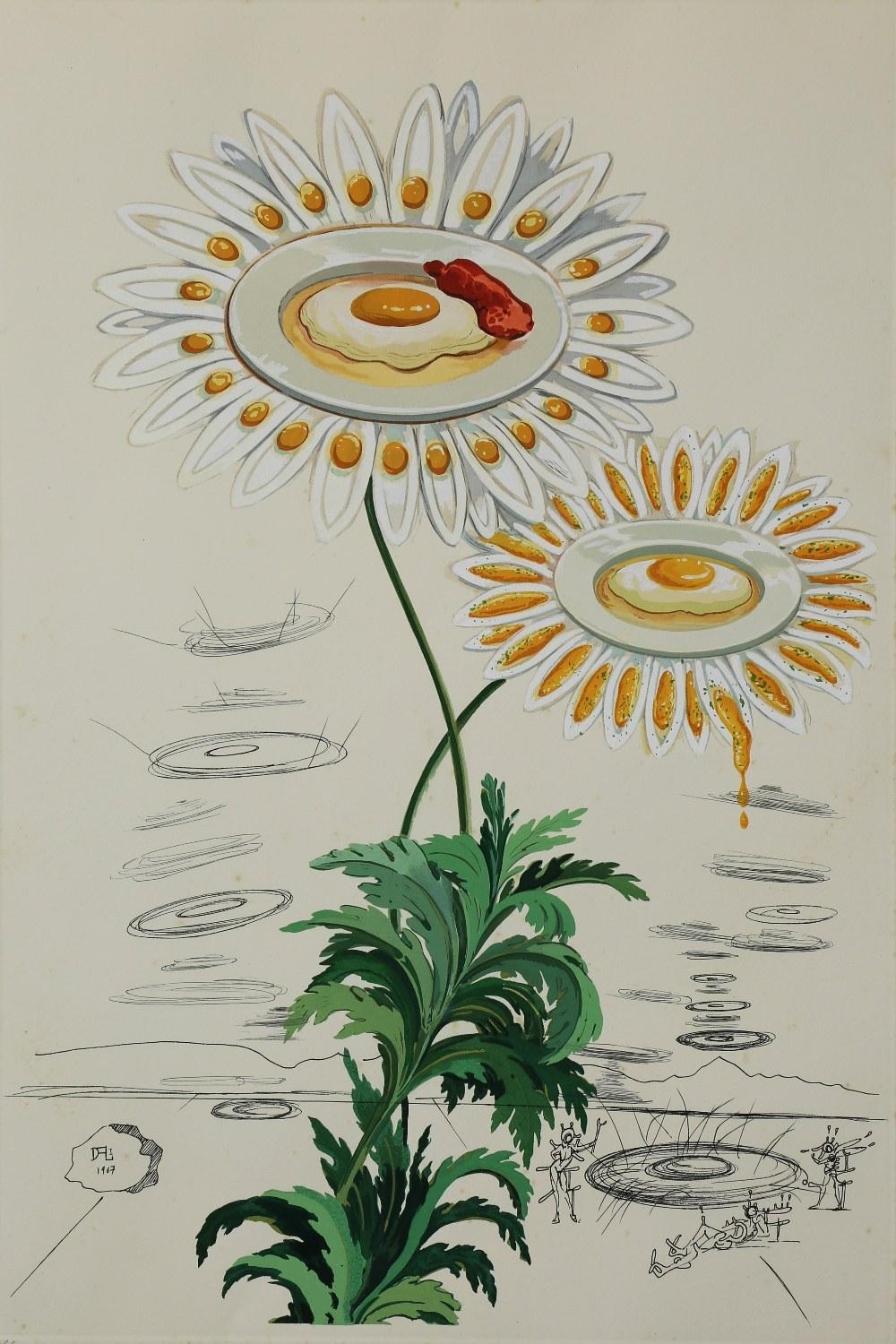 Chrysanthemum Frutescens (Marguerite)