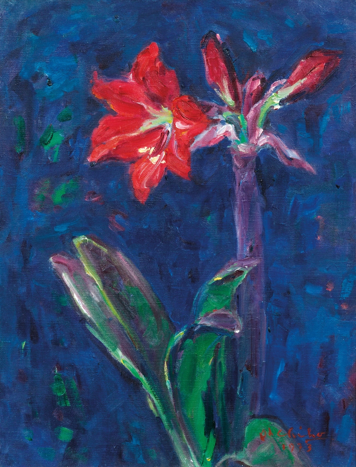 Artwork by Oh Chi-Ho, Amaryllis, Made of oil on canvas