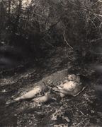 Nu, jardin à Marrakech by Bernard Rouget, 1952