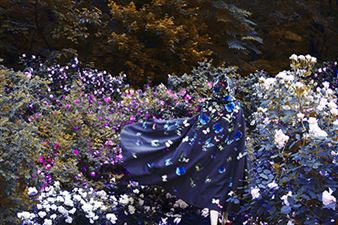 Erik Madigan Heck - Staley-Wise Gallery