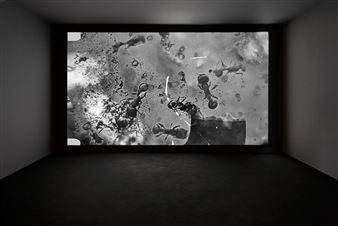 Malmö Konsthall Presents Three Major New Commissions