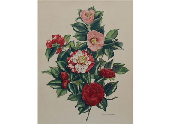 Still Life of Camellias - Jean Rathborne