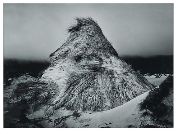 Mason Bay #9 by Wayne Barrar, 1988