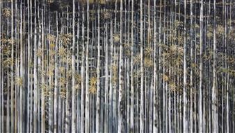 David Solís: Lisières - Maison de l'Amérique Latine