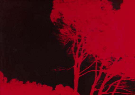 Paesaggio con 4 Alberi - Sergio Sarra