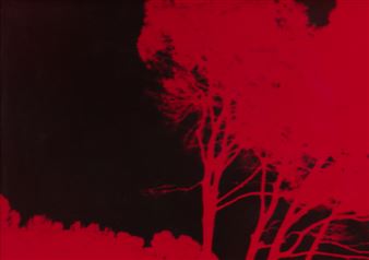 Paesaggio con 4 Alberi - Sergio Sarra