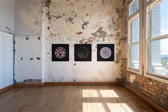 Dane Mitchell: Dust Archive - Hopkinson Mossman, Auckland