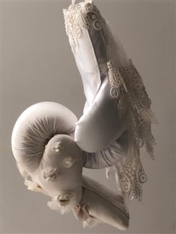 Veiled - Zoe Buckman