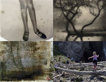 Progression - DNJ Gallery