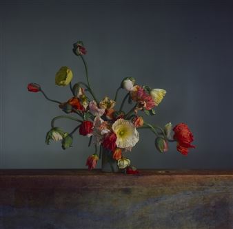 Richard Learoyd: Curious - Pace New York (32 East 57th Street)