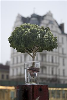 Finding Place - Walker Fine Art