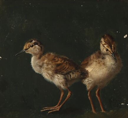 A Couple of Merganser Ducklings by Niels Peter Rasmussen, 1882