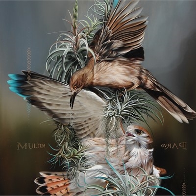 Animalia at Abend Gallery