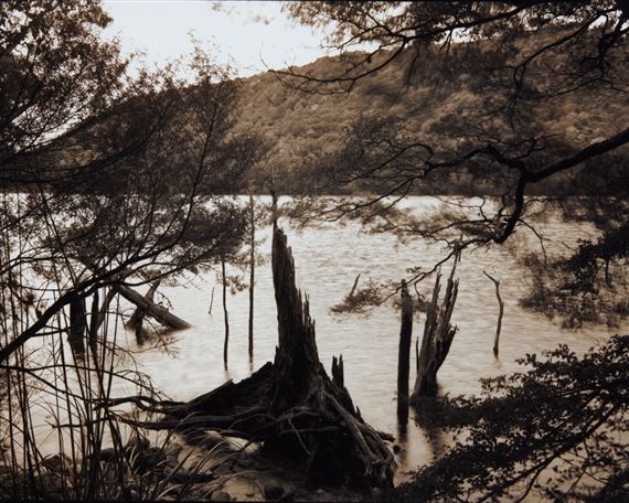 Lake edge, remnant spars, Lake Monowai by Wayne Barrar, 2003
